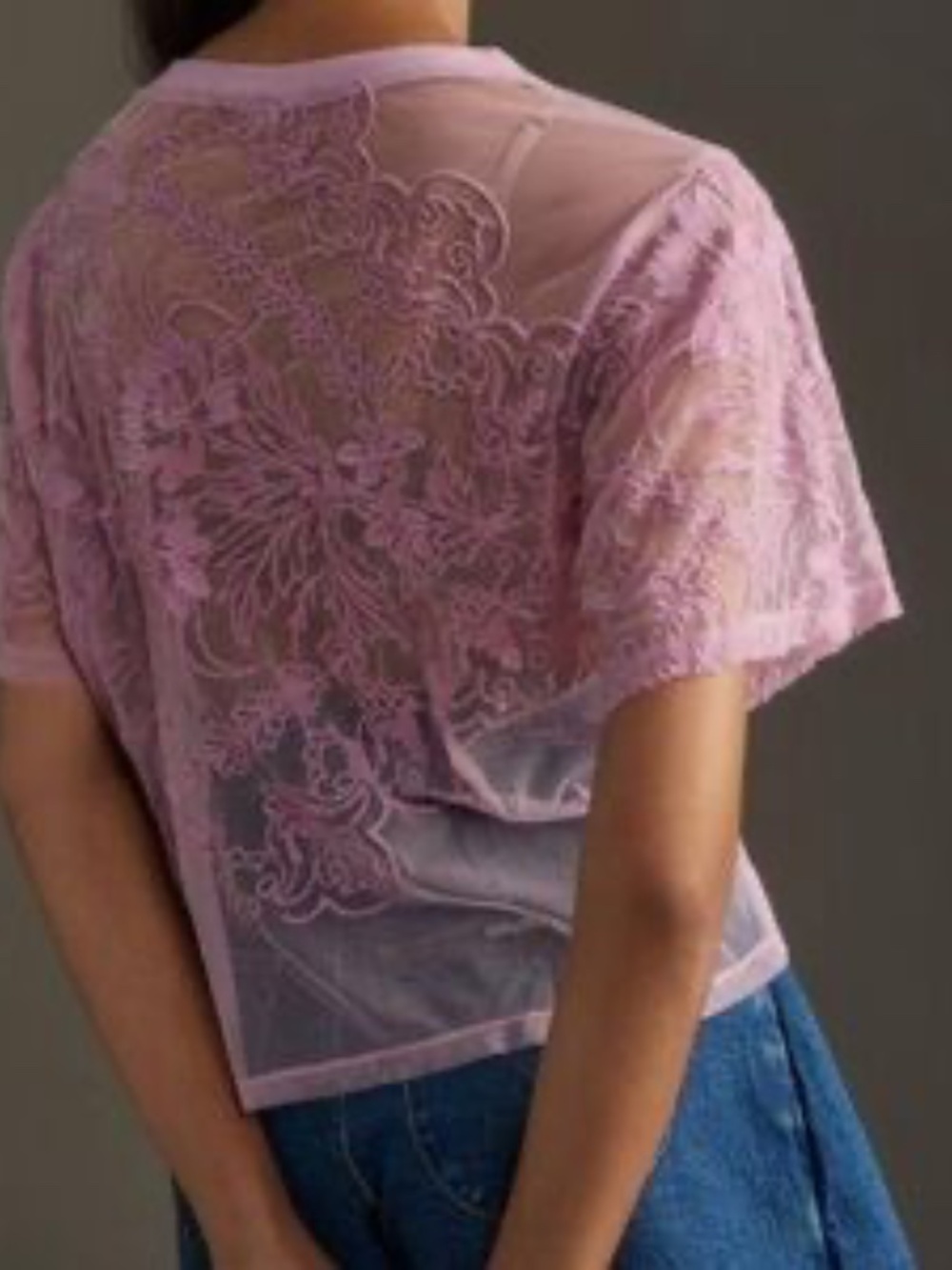 Anthropologie Women's Embroidered Sheer Lace Lavender Short Sleeve Top- XS - Picture 3 of 8